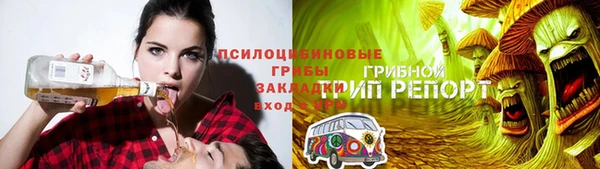 2c-b Михайловка