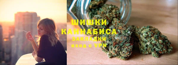 молекула духа Михайлов