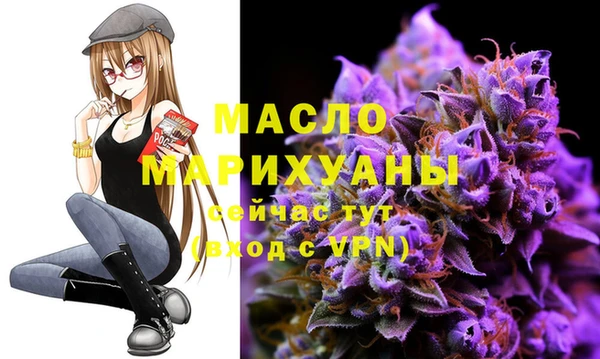 молекула духа Михайлов