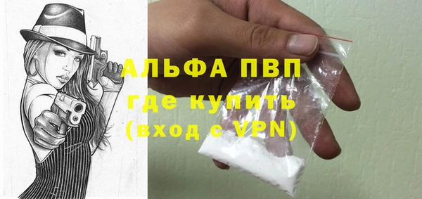 молекула духа Михайлов