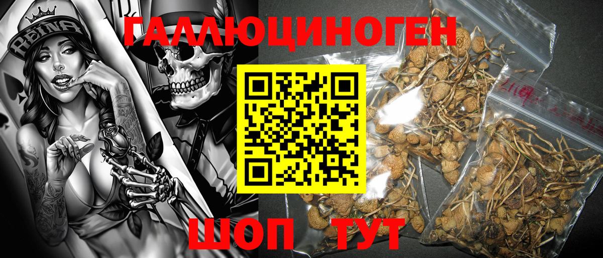 Псилоцибиновые грибы мухоморы  Галлюциногенные грибы MAGIC MUSHROOMS  даркнет сайт  Воткинск 