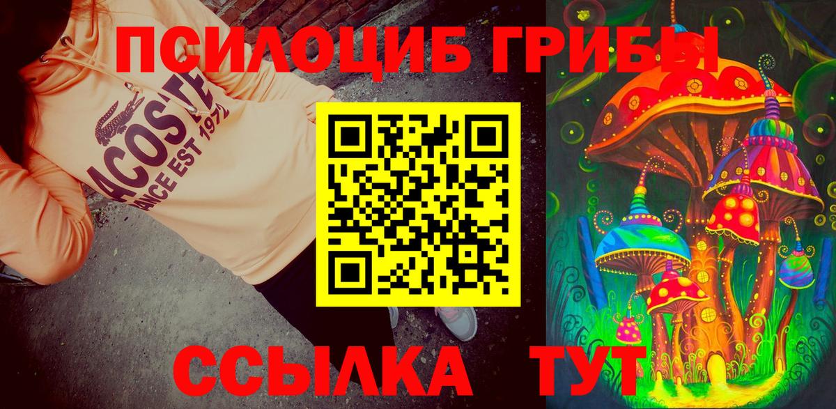 Галлюциногенные грибы мухоморы  Вход с VPN  Воткинск  Галлюциногенные грибы Psilocybe 